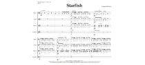 Starfish – Drum Line Cadence