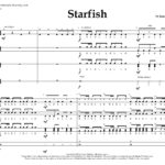 Starfish cadence 1st page